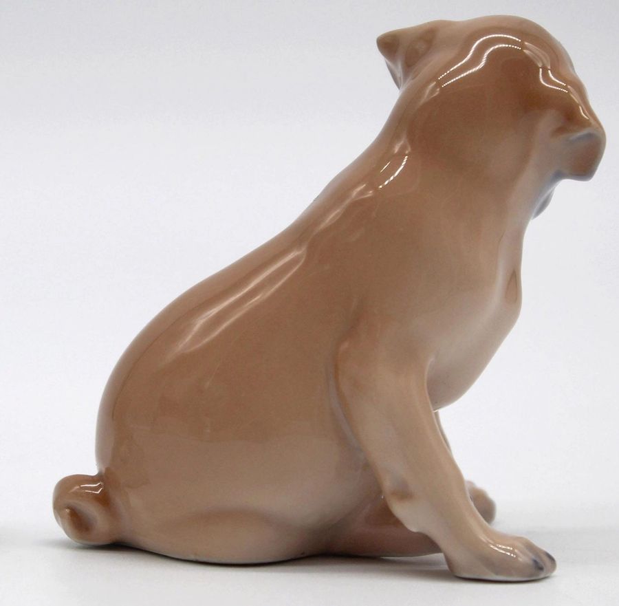 Antique Royal Copenhagen. Pug Puppy. 1955 year.