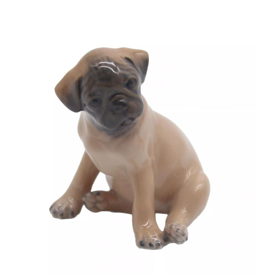 Royal Copenhagen. Pug Puppy. 1955 year.