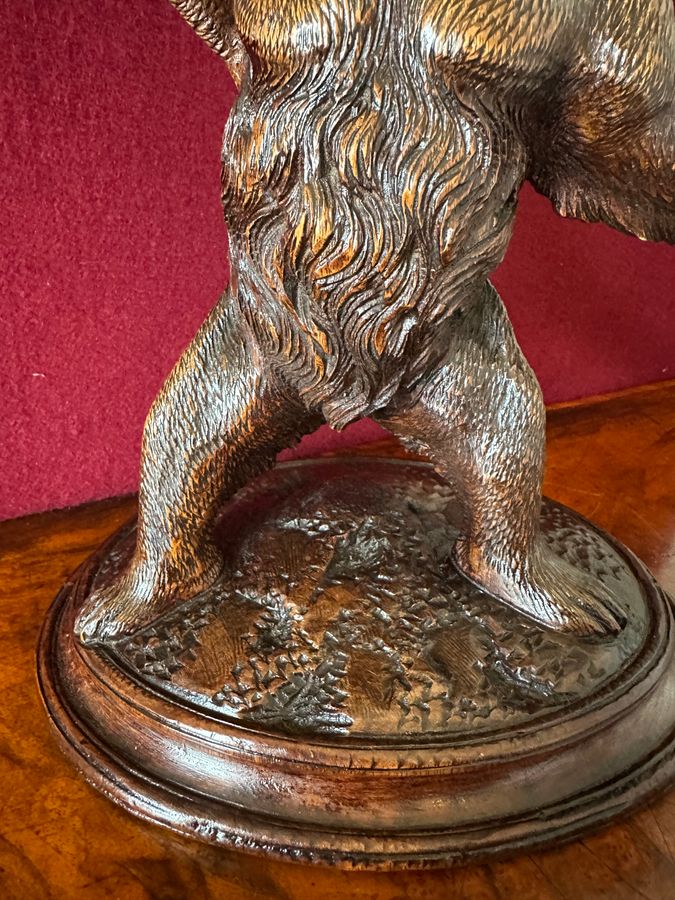 Antique Black forest carved bear circa 1920