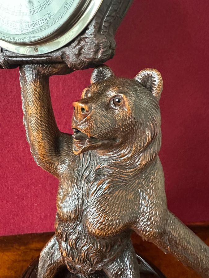 Antique Black forest carved bear circa 1920