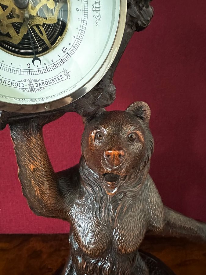 Antique Black forest carved bear circa 1920