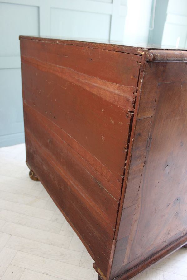 Antique Queen Ann Burr Walnut chest of Drawers