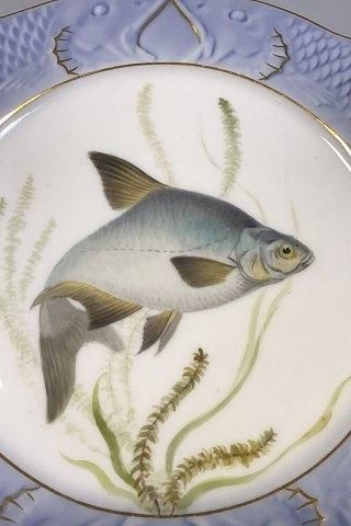 Antique Royal Copenhagen Blue Fish Plate with Gold No 1212/3002.