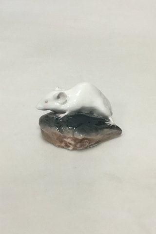 Antique Royal Copenhagen Figurine of white Mouse on the head of a Plaice