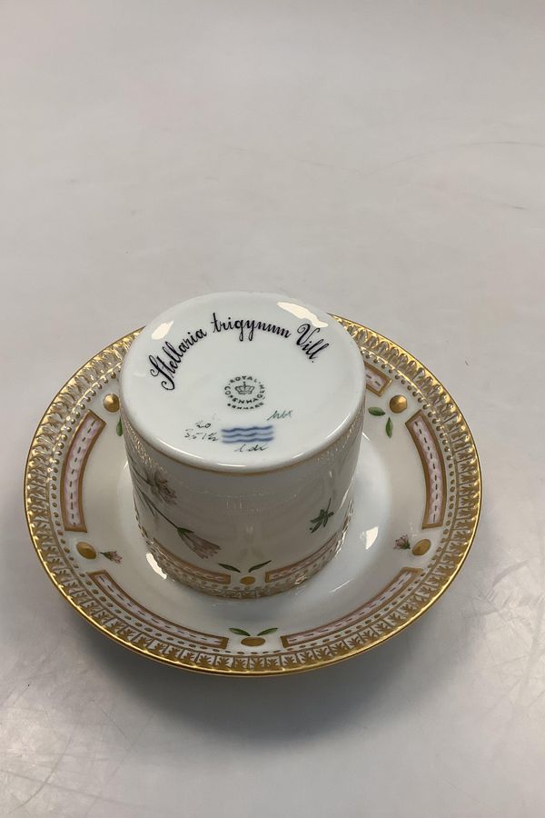 Antique Royal Copenhagen Flora Danica Chocolate Cup No 20/3512