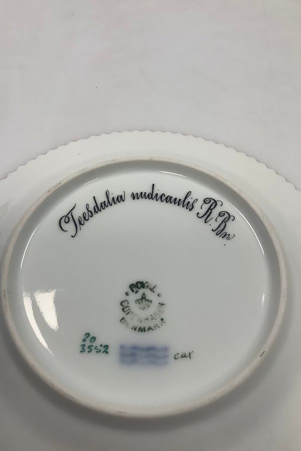 Antique Royal Copenhagen Flora Danica Cake Plate No 20/3552