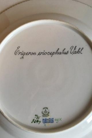 Antique Royal Copenhagen Flora Danica Dinner Plate No 735/3549