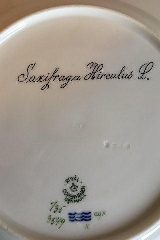 Antique Royal Copenhagen Flora Danica Dinner Plate No 735/3549