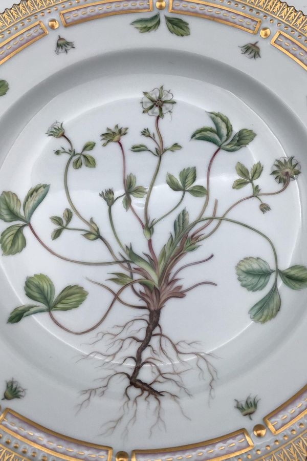 Antique Royal Copenhagen Flora Danica Dinner plate No. 624 (20/3549)