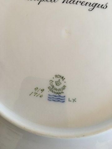 Antique Royal Copenhagen Green Fish Dinner Plate No 919/1710 with Clupea Harengus