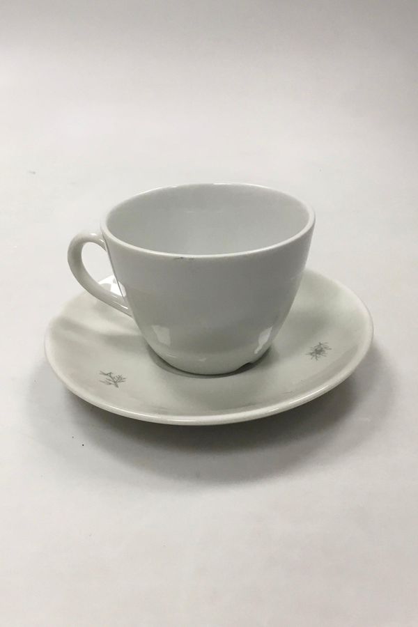 Antique Royal Copenhagen Hotel porcelain decorated with wild plants Coffee cup and saucer No 9600
