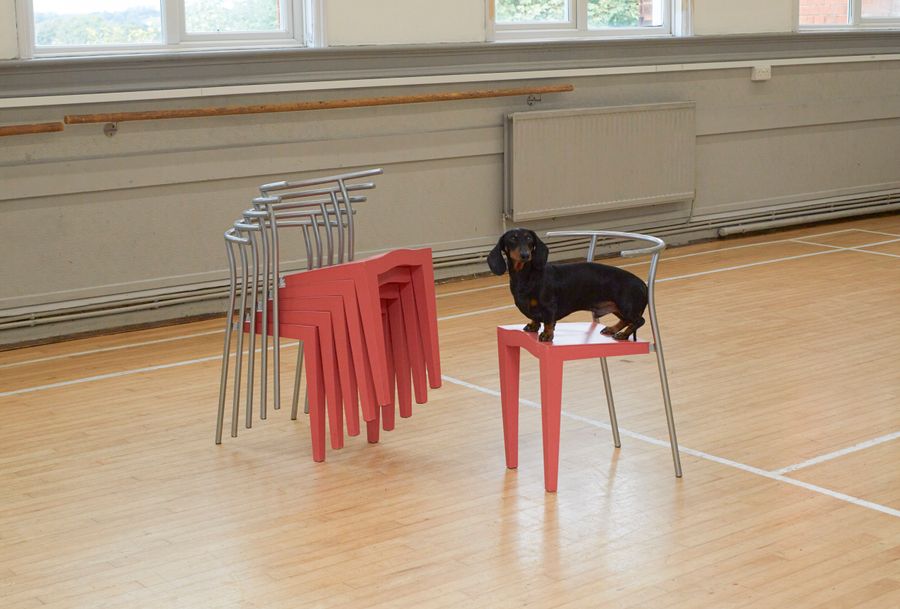 Antique 6 Dr Glob coral chairs by Philippe Starck for Kartell