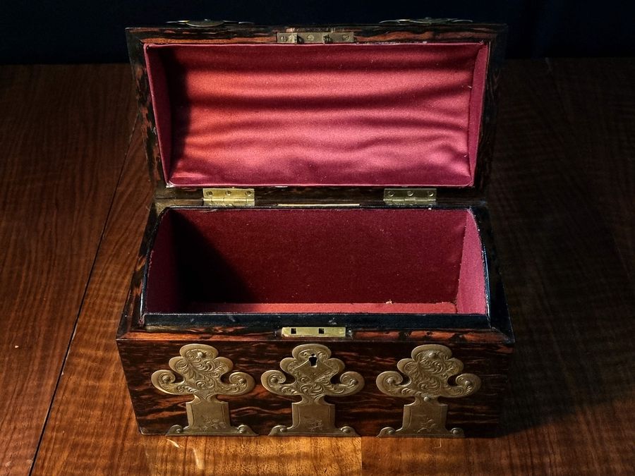 Antique Antique Coromandel Gothic Revival Domed Box, 19th Century Victorian Box