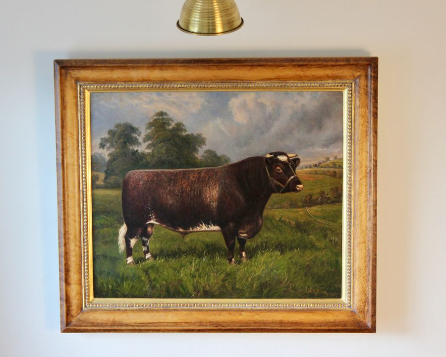 Shorthorn Bull Oil Painting: Castleton Signed W. A. Clark