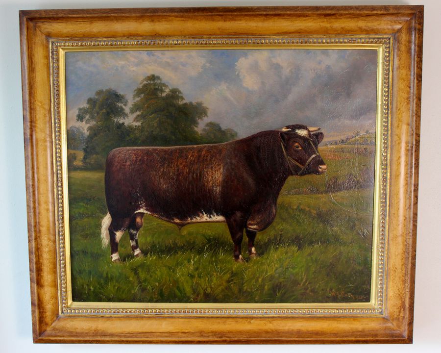 Antique Shorthorn Bull Oil Painting: Castleton Signed W. A. Clark