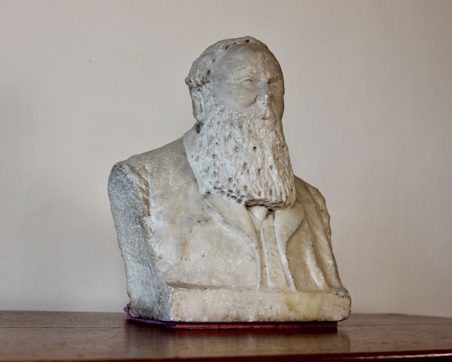 Bust of a Bearded Gentleman