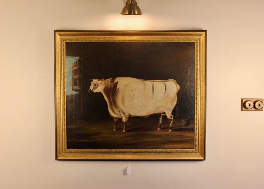 Large Naive Cattle In Stable Oil Painting 19th C