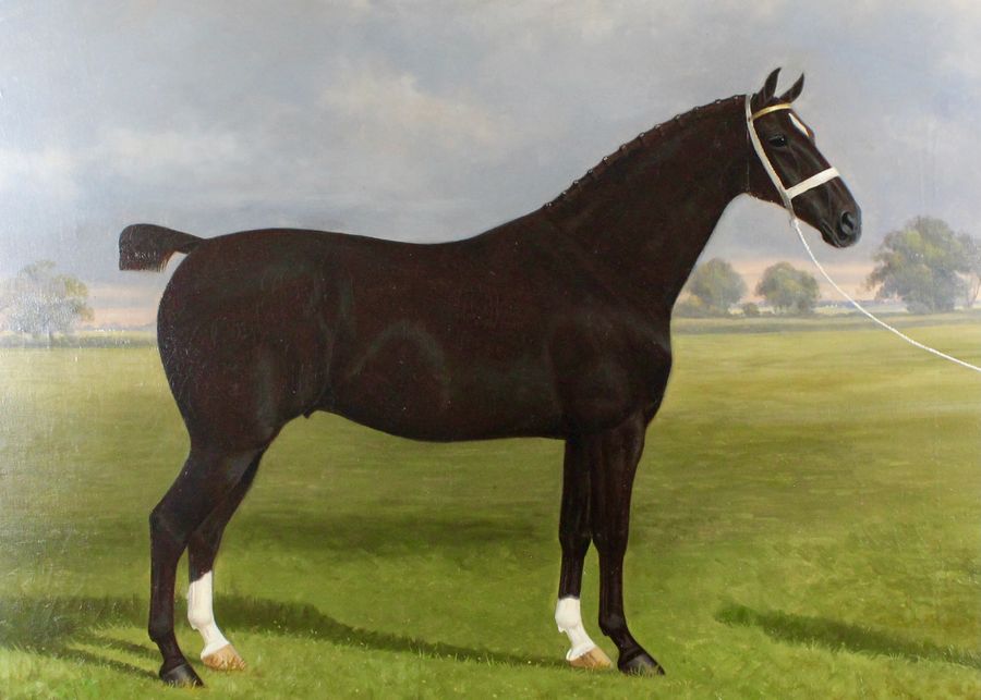 Antique Pair Of Stallion & Mare Hackney Champion Oil Paintings by W.A. Clark