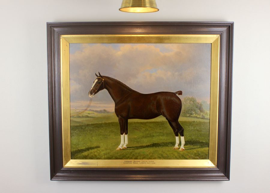 Antique Pair Of Stallion & Mare Hackney Champion Oil Paintings by W.A. Clark