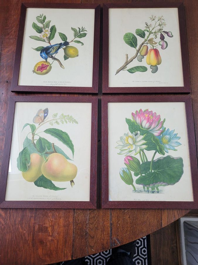 Antique James Forbes Engravings