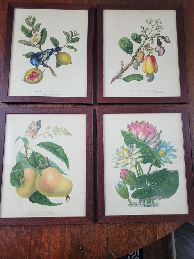 Antique James Forbes Engravings