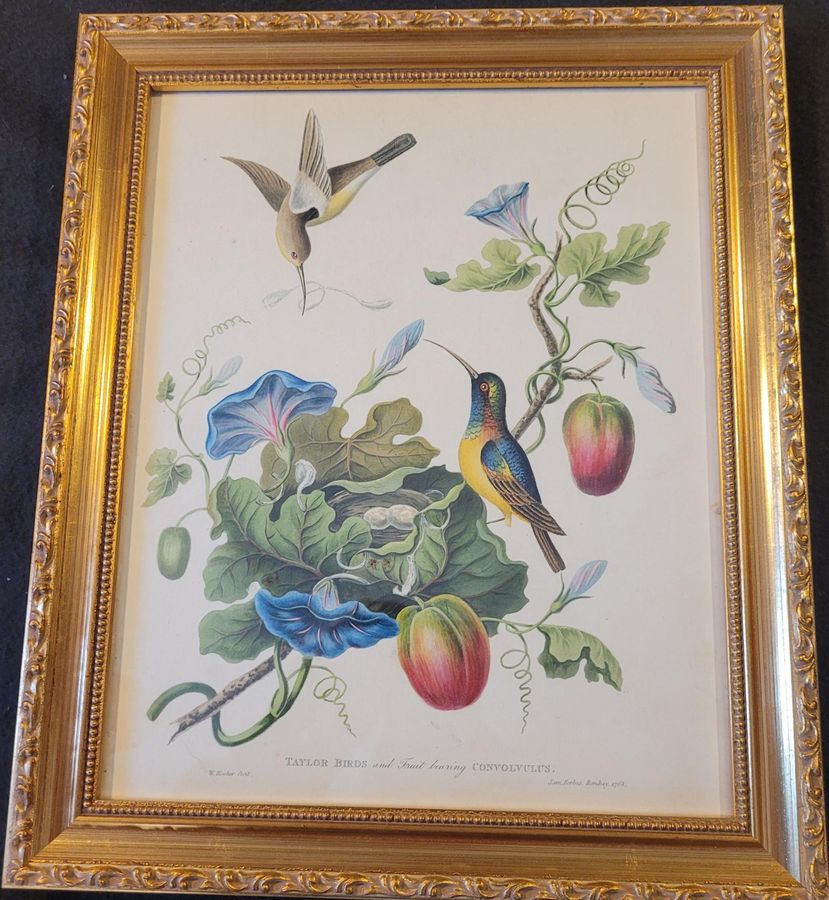 Antique James Forbes Aquatint