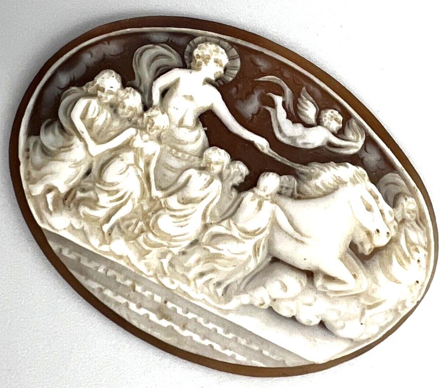 Antique Antique Victorian Large Shell Cameo Carving Apollo on Chariot with horses C1880