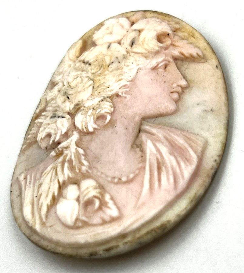 Antique Large Antique Art Nouveau Carved Cameo Coral Exquisite Quality Circa 1900