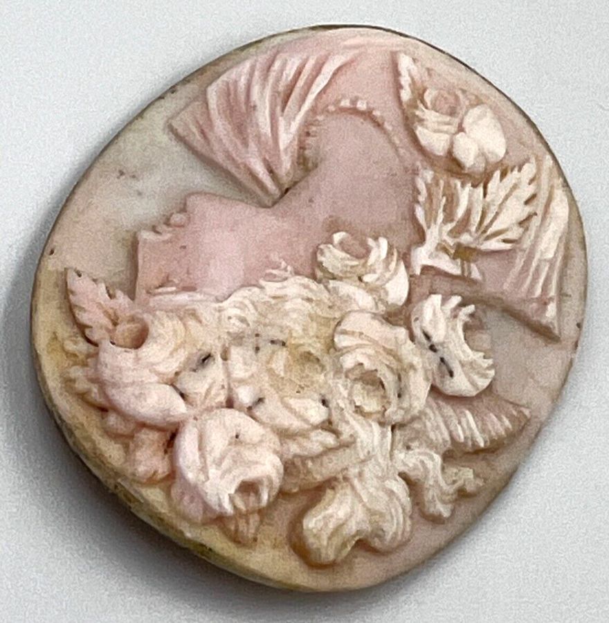 Antique Large Antique Art Nouveau Carved Cameo Coral Exquisite Quality Circa 1900