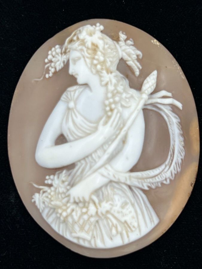 Antique Antique Victorian Large Shell Cameo Carving of Maenads Women of Bacchus C 1880