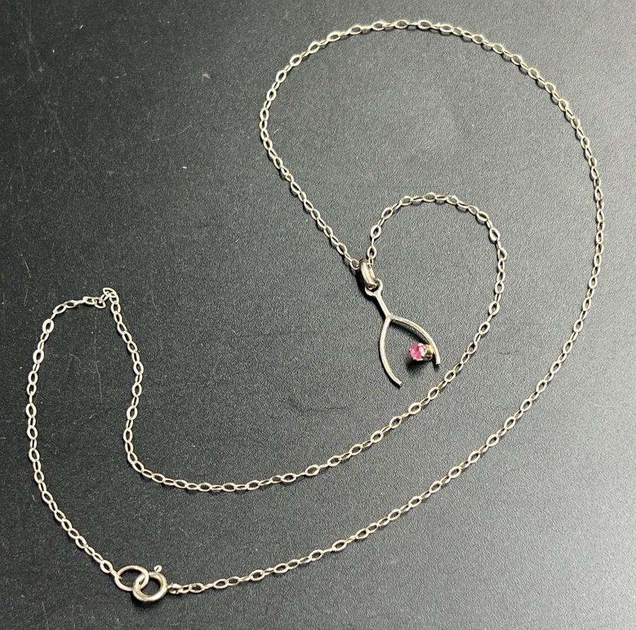 Antique Antique Silver Hallmarked Chain & Wishbone Pendant set with Ruby