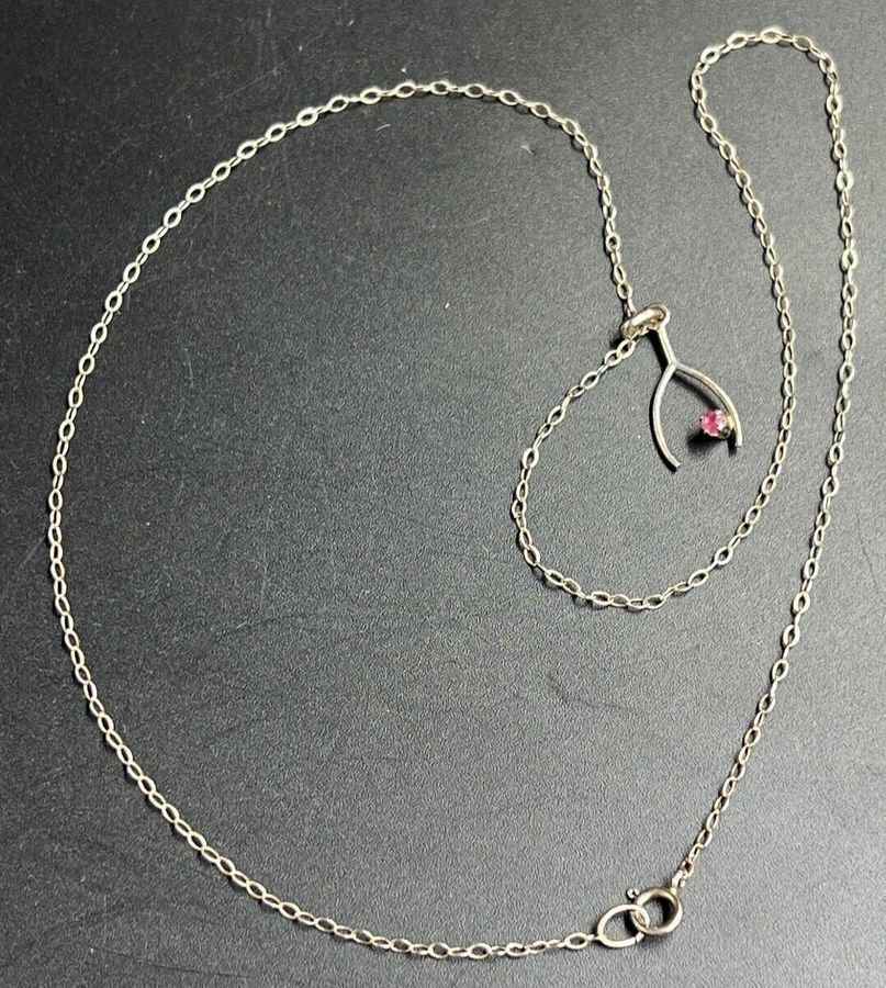 Antique Antique Silver Hallmarked Chain & Wishbone Pendant set with Ruby