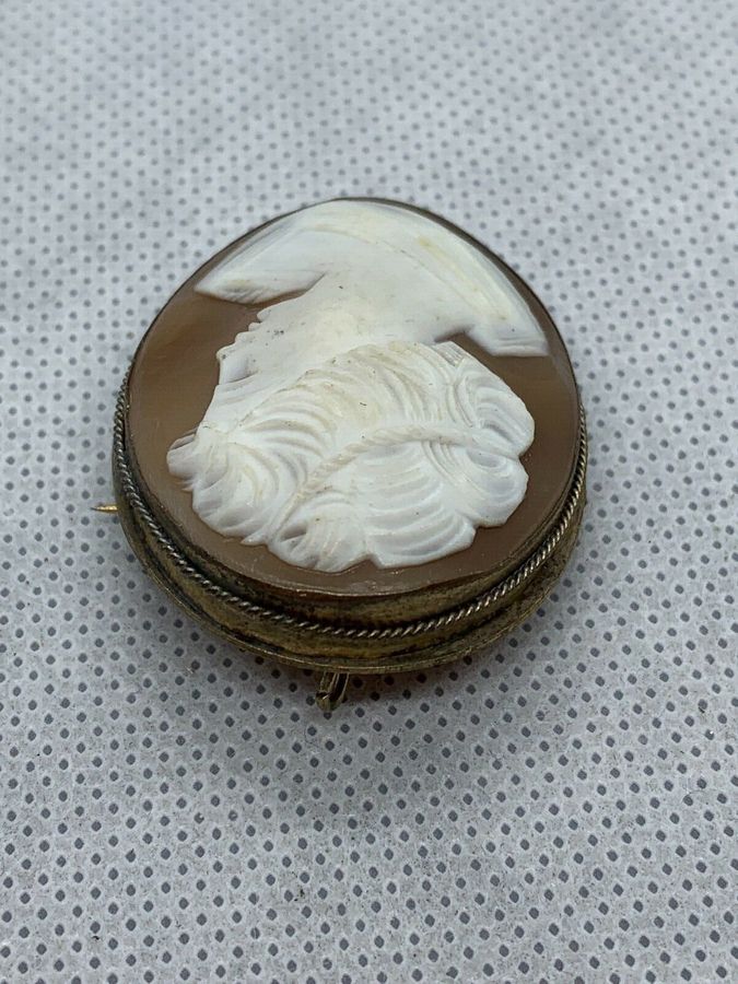 Antique Italian Carved Shell Cameo