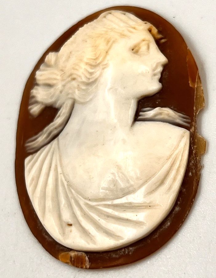 Antique Antique Victorian Etruscan Revival  Large Shell Cameo Hand Carved Italian A/F