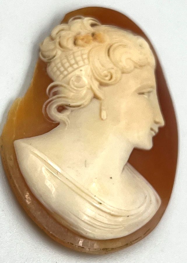 Antique Antique Shell Cameo Italian Circa 1900 A/F