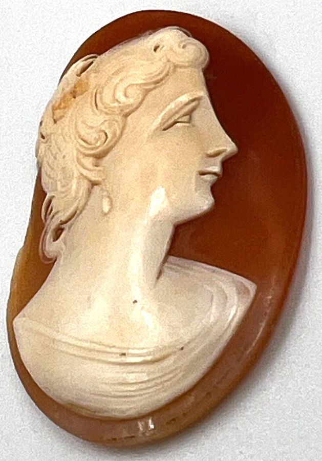 Antique Antique Shell Cameo Italian Circa 1900 A/F