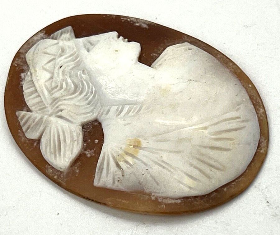 Antique Antique Victorian Italian Carved Shell Cameo Very fine carving Large