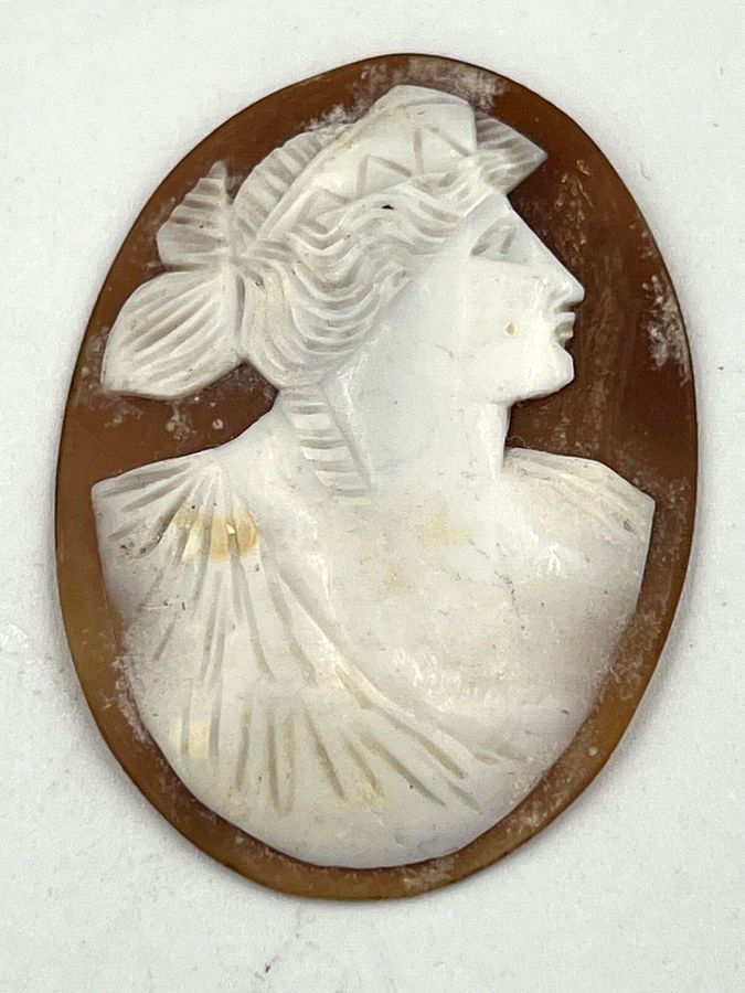 Antique Antique Victorian Italian Carved Shell Cameo Very fine carving Large