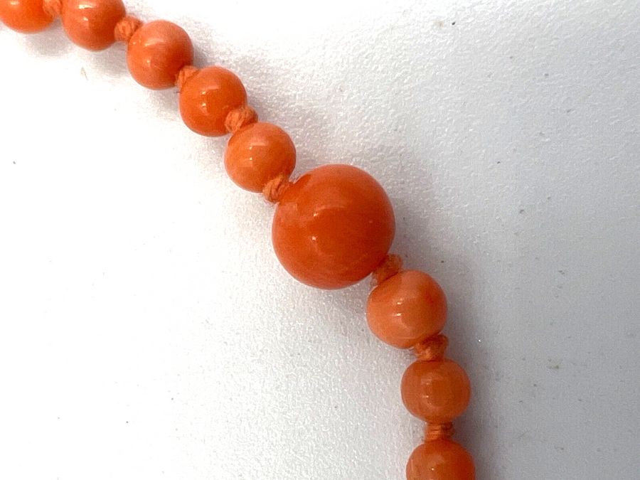 Antique Antique Victorian 9CT Clasp Angel Skin Coral Very Fine Graduated Choker Necklace