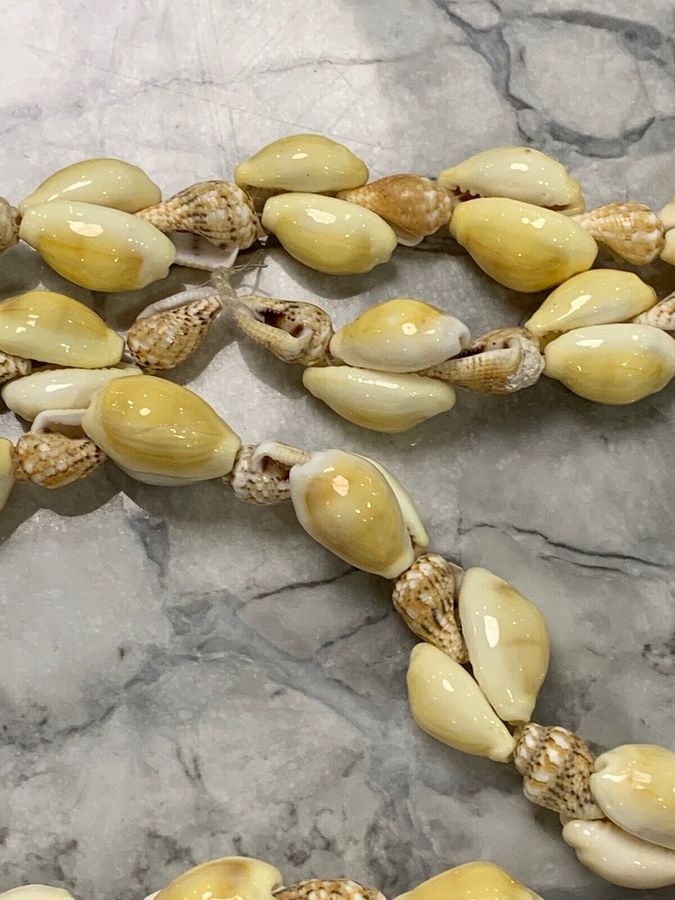 Antique Antique Art Deco Long Flapper Natural Organic Shell Necklace