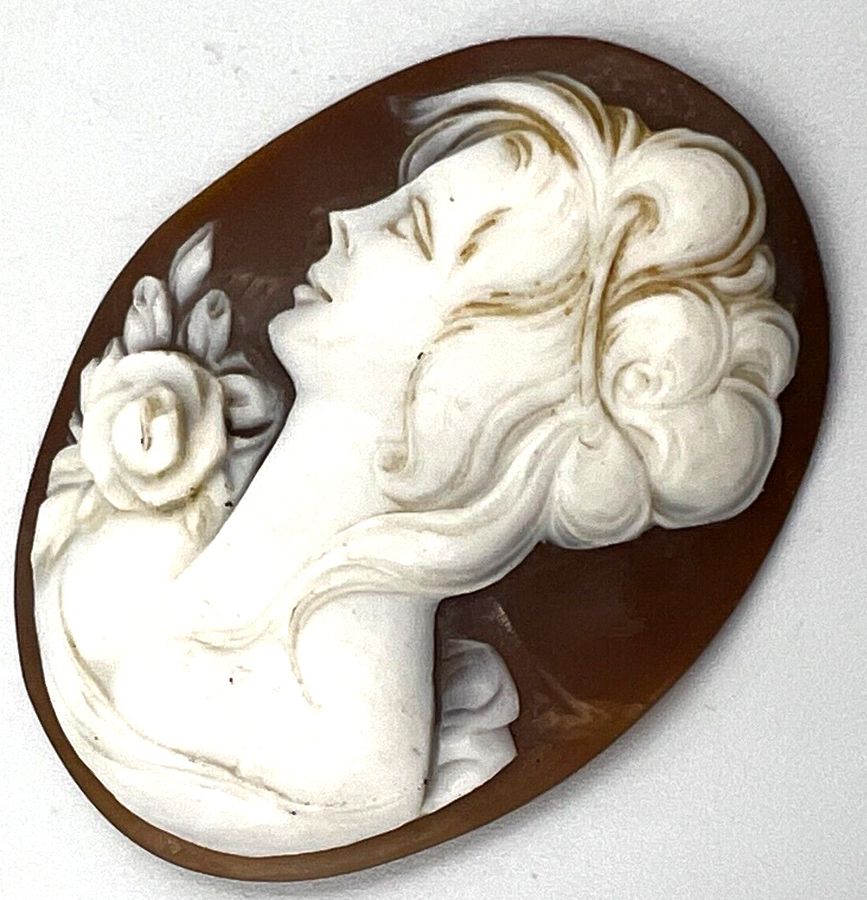 Antique Antique Art Nouv Ex Large Shell Cameo Carving Flowing Portrait with Rose  C1910