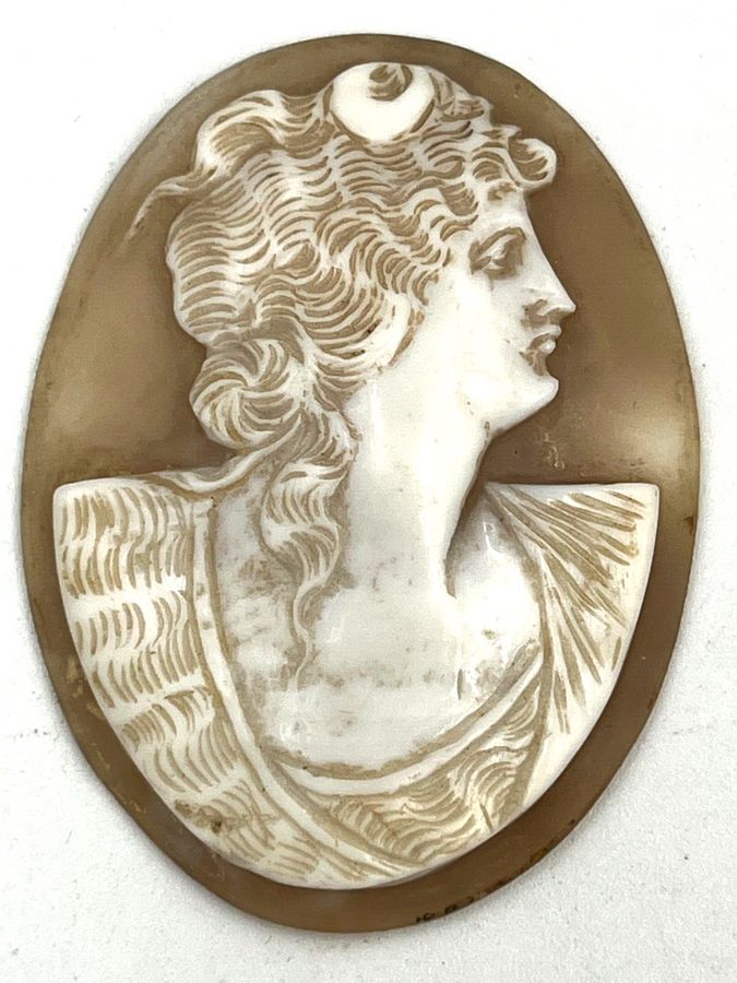 Antique Victorian Unusual Large Shell Cameo Italian Circa 1880