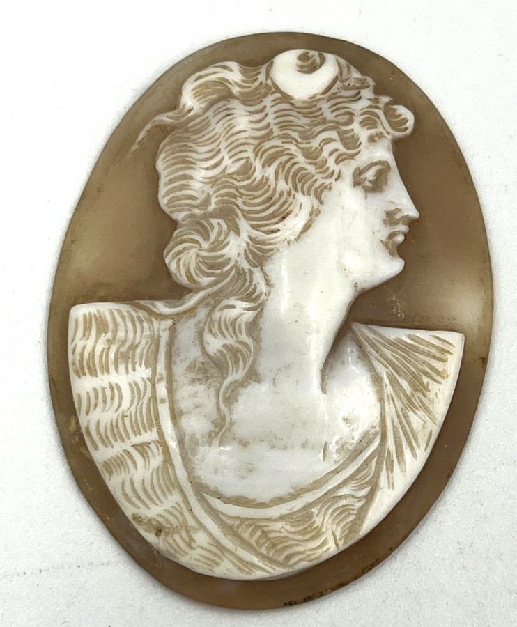 Antique Antique Victorian Unusual Large Shell Cameo Italian Circa 1880