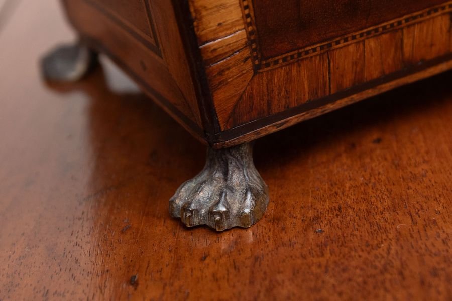 Antique A fine Georgian mahogany tea caddy on brass paw feet.