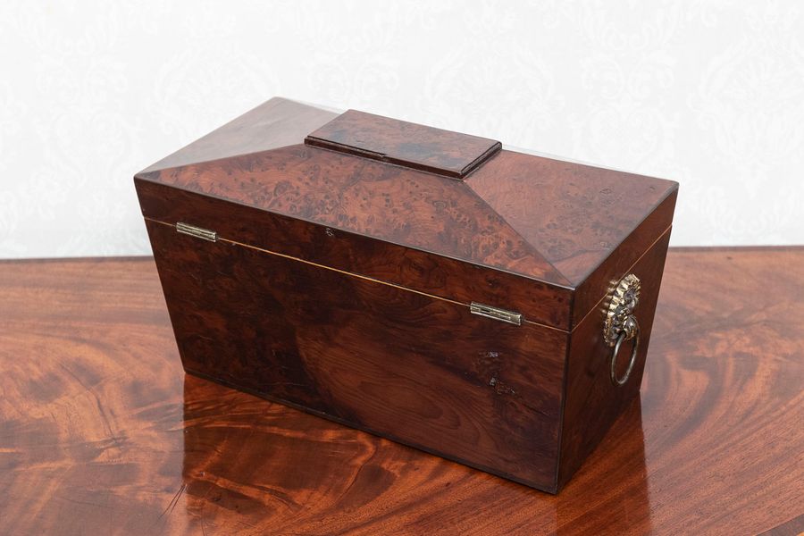 Antique Unusual bura yew tea caddy with two original tea compartments.