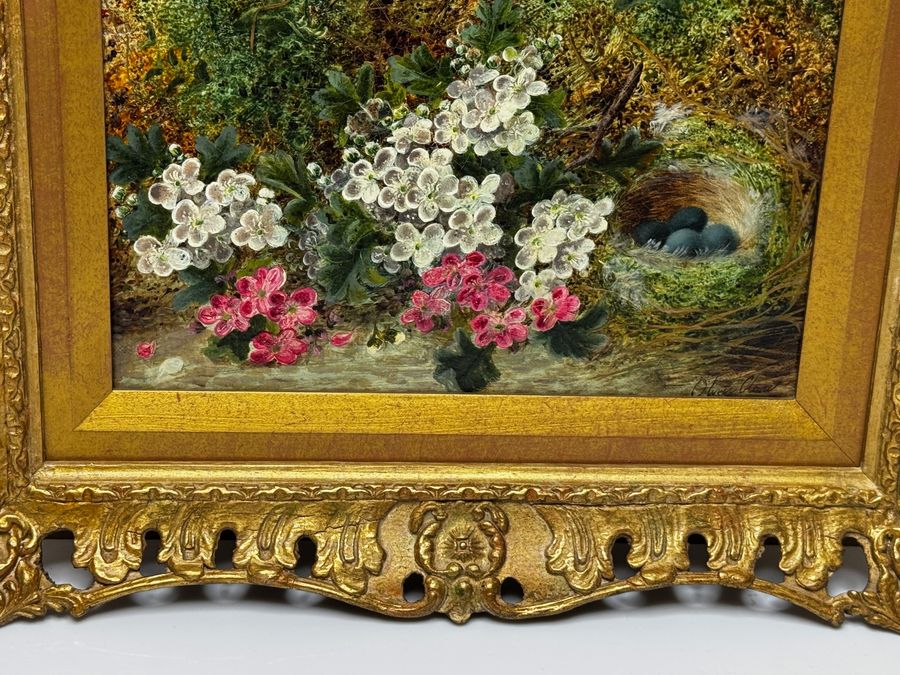 Antique Victorian Painting Flowers Starling Bird Eggs Nest Mossy Bank By Oliver Clare