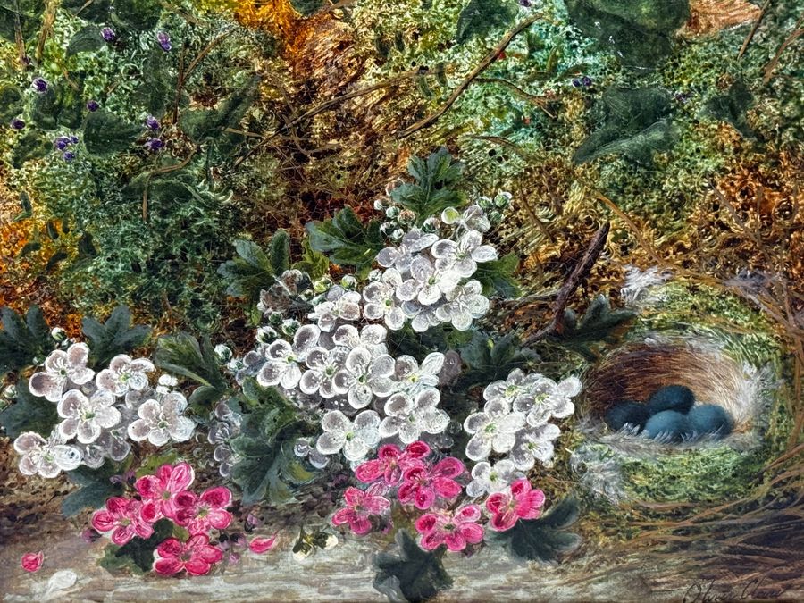 Antique Victorian Painting Flowers Starling Bird Eggs Nest Mossy Bank By Oliver Clare