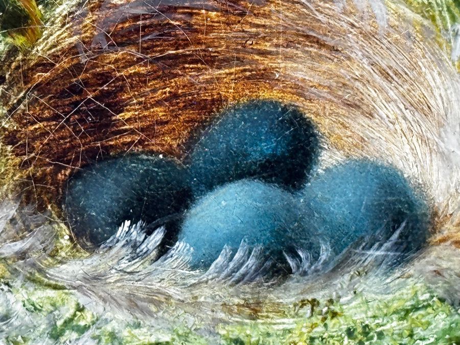 Antique Victorian Painting Flowers Starling Bird Eggs Nest Mossy Bank By Oliver Clare