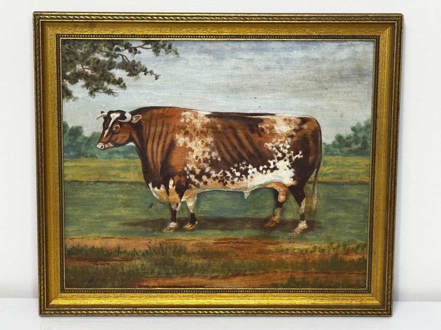 Antique TraditionalVictorian Animal Painting Prized Shorthorn Bull 