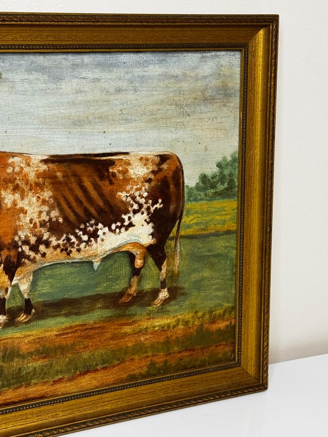 Antique TraditionalVictorian Animal Painting Prized Shorthorn Bull 